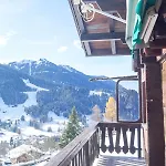 - Charming With View Chalet Les Diablerets