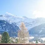 - Charming With View * Les Diablerets
