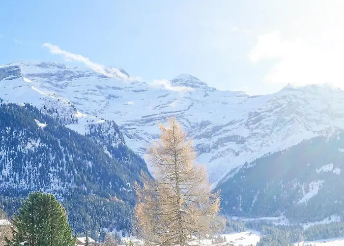 - Charming With View * Les Diablerets